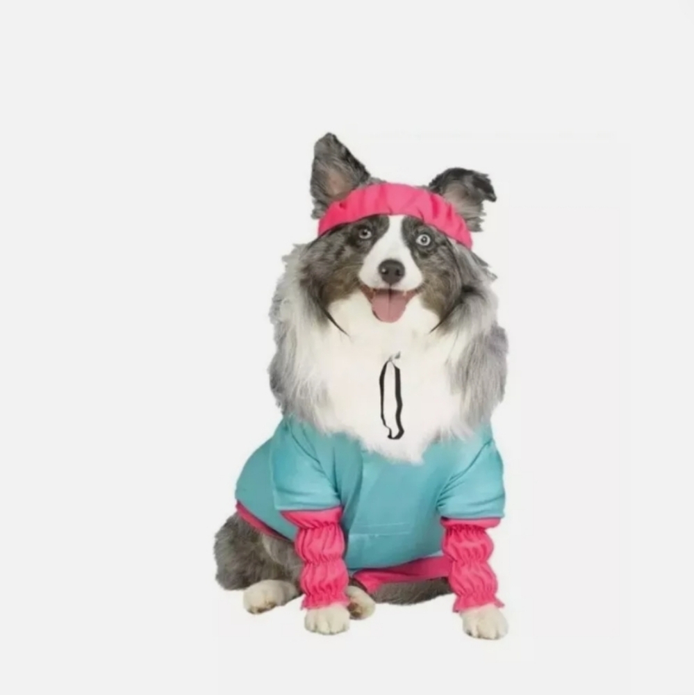 Barbie Aerobics Pet Costume SIZE SMALL.